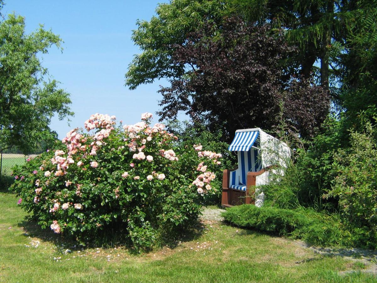 Zum Schwarzen Stiefel- Ferienwohnung Atelierhaus Rankwitz Exterior photo